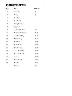 Signature Licks von Stevie Ray Vaughan 