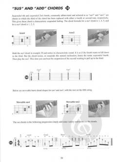Metal Rhythm Guitar Vol. 2 von Troy Stetina 
