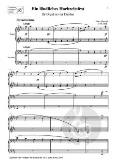 Ein ländliches Hochzeitsfest von Franz Berwald 