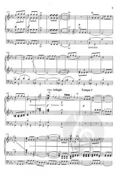 5. Symphonie c-Moll op. 67 - 1. Satz: Allegro con brio von Ludwig van Beethoven für Orgel im Alle Noten Shop kaufen