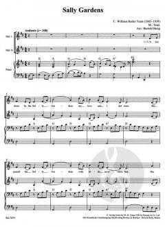 Combocom: Irish von Bertold Breig 