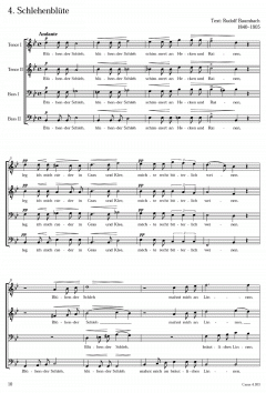 Schreker: Das Chorwerk (Franz Schreker) 