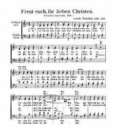 Ich freue mich im Herrn 