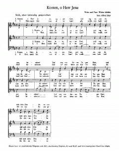 Herr, lass uns deine Wunder sehen (Alfred Stier) 