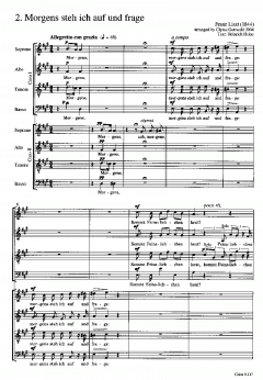 Liszt/Gottwald: Zwei Transkriptionen 