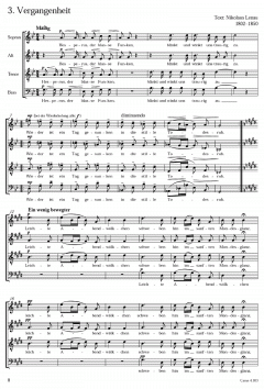 Schreker: Auf dem Gottesacker, Vergangenheit (Franz Schreker) 