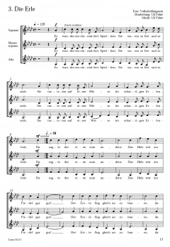 Führe: Der Mond ist eine Frau (Ulrich Führe) 