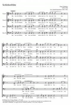 Wenn wir in höchsten Nöten sein von Johann Hermann Schein (Download) 