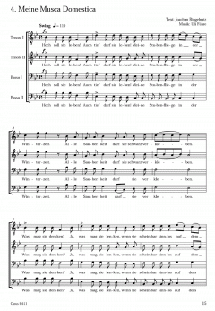 Der Männer-Boogie-Blues (Ulrich Führe) 