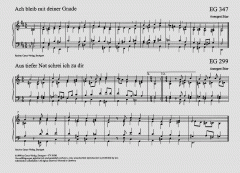 Choralvorspiele der Familie Stier 