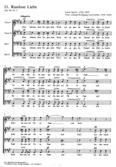 Raritäten der Romantik Band 2 