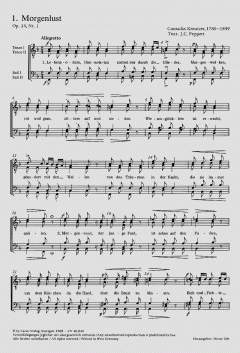 Raritäten der Romantik Band 2 