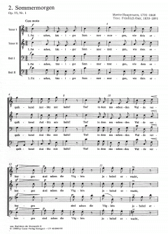 Raritäten der Romantik Band 2 
