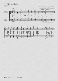 Raritäten der Romantik Band 2 