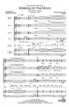 Walking On The Moon (Sting) 