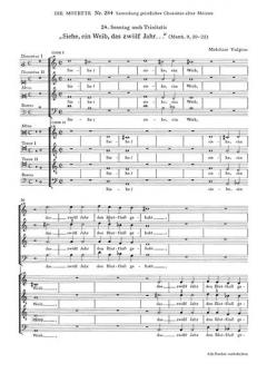 Siehe, ein Weib, das zwölf Jahr (Melchior Vulpius) 