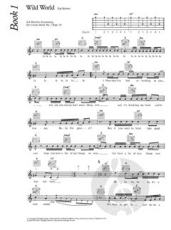 The Complete Guitar Player: Cat Stevens Songbook von Cat Stevens 