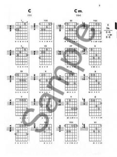 The Leeds Guitar Dictionary von F. Chierici 