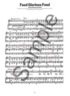 Stage and Screen: The White Book von Galt MacDermot 