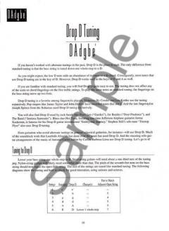 The Complete Book Of Alternate Tunings von Mark Hanson 