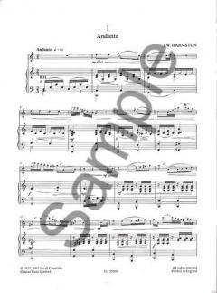 Flute Solos Vol. 2 von Trevor Wye 