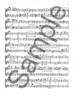 Eugene Walkiers: Flute Duets Vol. 3 von Trevor Wye 