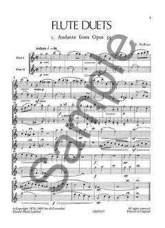 Flute Duets Vol. 2 von Trevor Wye 