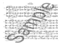 Cicada for Two Pianos von Kevin Volans 