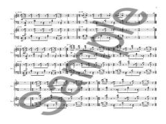 Cicada for Two Pianos von Kevin Volans 