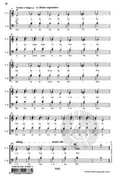 Broad Waters op. 39 (Henryk Mikołaj Górecki) 