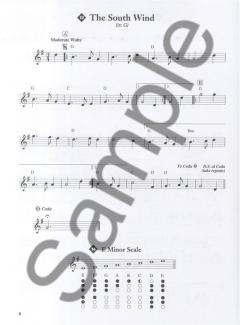 Cathal McConnell Teaches Pennywhistle 