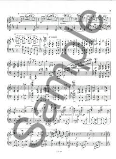 Complete Sonatas and Variations for Solo Piano von Johannes Brahms 