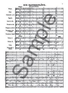 The Magic Flute von Wolfgang Amadeus Mozart 