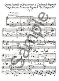 Complete Etudes for Solo Piano Series 2 von Franz Liszt 