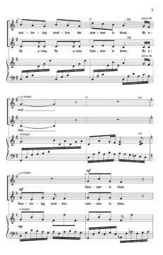 Fly Away (Barbara Poulshock) 