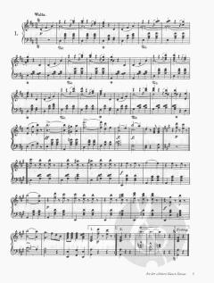 Favorite Waltzes Polkas and Other Dances for Solo Piano von Johann Strauss (Vater) 