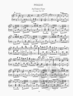 Favorite Waltzes Polkas and Other Dances for Solo Piano von Johann Strauss (Vater) 