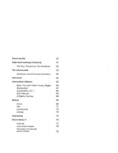 Pedal Steel Guitar von Bill Keith 