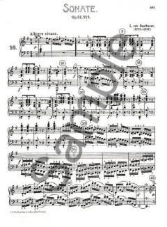 Complete Piano Sonatas Vol. 2 von Ludwig van Beethoven 