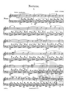 18 Nocturnes for The Piano von Franz Liszt 