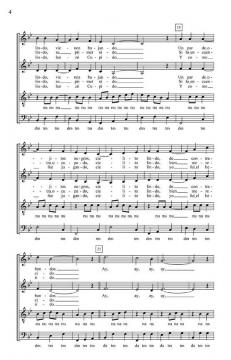 Latin A Cappella Vol. 1 