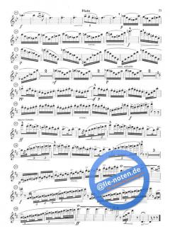 Flute Music by French Composers von Louis Moyse für Flöte und Klavier im Alle Noten Shop kaufen