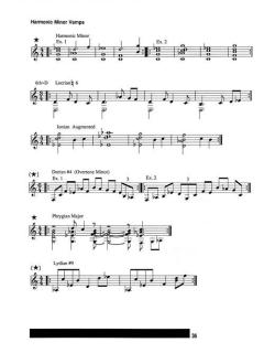 The Advancing Guitarist von Mick Goodrick 