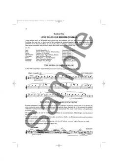 The Orchestral Flute Practice Book 1 von Trevor Wye 
