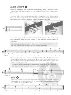 Heavy Metal Lead Guitar Vol.1 von Troy Stetina 