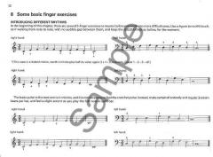 Play the Organ A Beginner's Tutor von David Sanger 