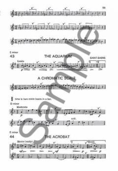 A Beginners Book for the Flute Part 2 von Trevor Wye 