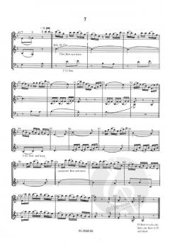 Finale Farewell Symphony (Joseph Haydn) 