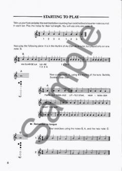 Flute Class Group Instruction Book von Trevor Wye 