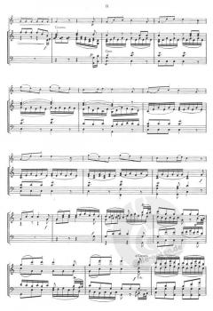 Hornkoncert Nr. 1 KV 412 (W.A. Mozart) 